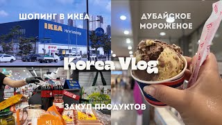 KOREA VLOG / последний праздничный выходной