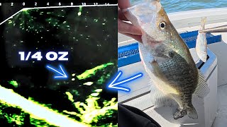 Crappie Fishing With Bigger Baits Using Garmin Livescope