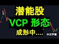 潜能股分享. VCP 形态成形中.... [中文字幕]