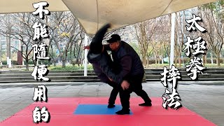 太極拳架摔法，摟膝拗步和野馬分鬃哪個更好用，Tai Chi Kung Fu Wrestling