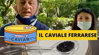 Caviale Ferrarese, una ricetta antica ecco la storia