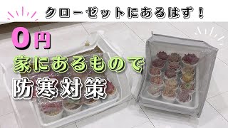 【冬越し】０円で出来る防寒対策【多肉植物 / ガーデニング】