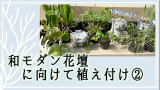 [ガーデニング]和モダン花壇に向けて植え付け！②