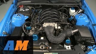 Mustang Anodized Blue Underhood Dressup Kit (05-09 GT/V6) Review