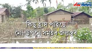 জলস্তৰ কিছু হ্ৰাস পালেও কমা নাই বানৰ প্ৰকোপ