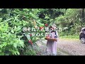 ふやよみ暮らしの動画12「草酵素づくり」