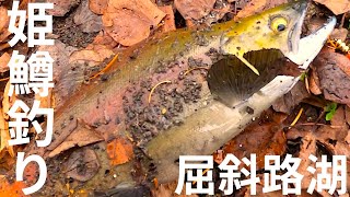 秋の屈斜路湖を散策 ヒメマス釣り（姫鱒釣り、チップ釣り）に挑戦！【Vlog】