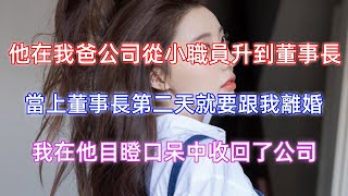 他在我爸公司從小職員升到董事長，當上董事長第二天就要跟我離婚，我在他目瞪口呆中收回了公司！