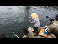 ｆｉｓｈｉｎｇｍａｘ武庫川　チヌだ４０ｃｍだ