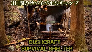 【山】サバイバル小屋を建て一夜を越えろ。