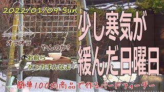 少しだけ寒気が緩んだ日曜日！お家時間を楽しむ。ダイソーバードフィーダーでお手軽野鳥観察。釧路町で鳥たちの越冬の手助けをしてます。