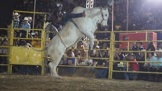 🔴 Jaripeo en Vivo LA CONCHA MICHOACÁN 🔴 REYES DE JALISCO vs RANCHO EL CENTENARIO 10 Diciembre 2024