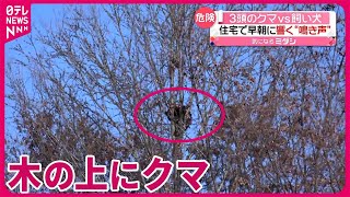 【相次ぐクマ被害】3頭と飼い犬が…早朝に響く“鳴き声”  100針縫う被害も…男性が状況語る