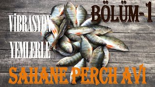 Vibrasyon Yemlerle Şahane Bir Perch Avı | Tatlısu Levreği Avı | Perch Fishing - BÖLÜM-1