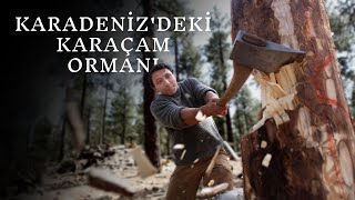 Artvin'deki Karaçam Ormanında Odun Kesenlerin Yaşadığı Korkunç Olaylar | Korku Hikayeleri