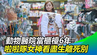 動物醫院當櫃檯6年　啦啦隊女神丹丹看盡生離死別｜三立新聞網SETN.com