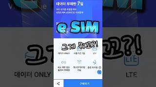 eSIM사용하기, 이심사용하기