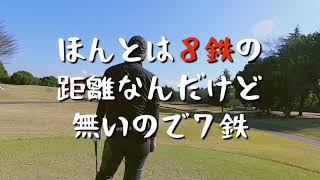 スプリングフィルズゴルフクラブ　2020年11月22日