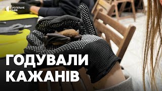 У притулку “Домівка врятованих тварин” навчали годувати рукокрилих, яких евакуювали з будинків