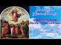 EN VIVO - NOVENO DÍA DE LA NOVENA A LA INMACULADA ASUNCIÓN DE MARÍA - [13/08/2024]