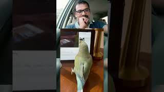 ഈ തത്ത ചെയ്തത് കണ്ടോ 🙄😃 | amazing bird | #Shorts