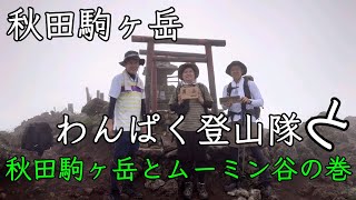 【登山】【ハイキング】【秋田駒ヶ岳】わんぱく登山隊と行く秋田駒ヶ岳と【ムーミン谷】の巻#登山#ハイキング#秋田駒ヶ岳#秋田県#百名山 #二百名山#わんぱく