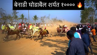 बेनाडी घोडाबैल शर्यत १०००० 🔥 benadi ghodabail sharyet 10000 | #ghodabail #ghodabailsharyat