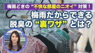 “不快な部屋のニオイ”対策！ 梅雨だからできる脱臭の“裏ワザ”とは？