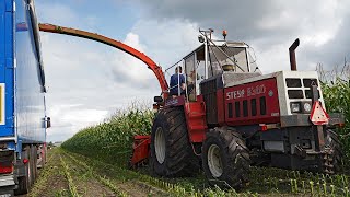 Cornfest Giethoorn | Classic maize harvest 2019 | Steyr 8300 \u0026 FOX Max II + many more