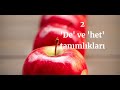 NT2 - 'DE' - 'HET' tanımlıkları 2.Ders Türkçe anlatım #nederlandsders #Hollandaca ders