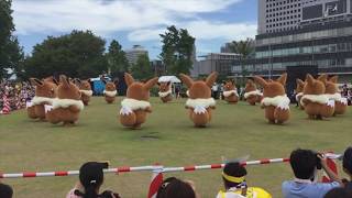 ピカチュウ大量発生チュウ2018  イーブイ大行進(ラス日)