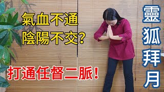 陰陽不交百病生？道家“靈狐拜月”，打通任督二脈，鎖陽收陰！【健康管理師李晓】