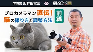 プロカメラマン直伝！猫の撮り方と調整方法【前編】