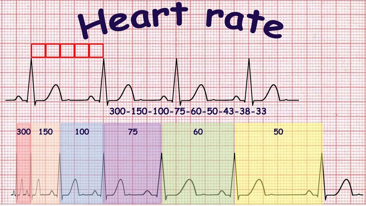 Calculation For Heart Rate