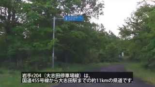 【車載動画】山田線　秘境駅巡りPart1(岩手県道204号 大志田停車場線)