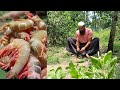 TRUE RURAL FOOD | Bangladeshi Village Food | চিংড়ি করলা দিয়ে দুর্দান্ত গ্রামীণ খাবার