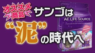 アクアフォレスト・オススメ商品 水槽を美しくする “泥” の話【2024年6月号 vol.1】