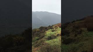 韓國濟州島，漢拏山御乘生岳的秋天景致。Autumn scenery of Mt. Hallasengsaengdake in Jeju Island, South Korea.