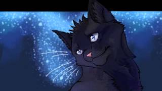 Crowfeather Rant