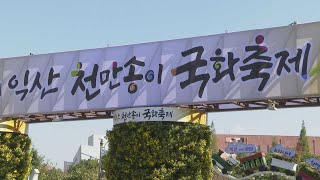 가을, 국화 향기 속으로…익산 천만 송이 국화축제 / 연합뉴스TV (YonhapnewsTV)