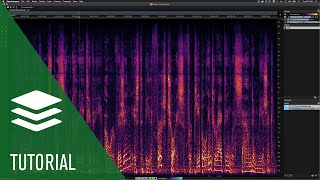 De-Esser | Spectralayers Pro 7 Tutorial