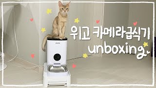 광고없음❌ 초보집사 필수템 고양이 강아지 위고 카메라 자동급식기 추천 내돈내산 리뷰 cat vlog