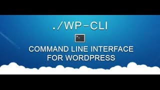 How to Use WP CLI to install and manage new wordpress themes