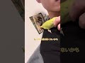 【コザクラインコ】新しい家族、ラユちゃんをお迎えしました。