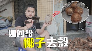 老椰子居然還有用處？教你如何給椰子去殼 cách lột dừa khô và nạo thịt | 阿旺生活