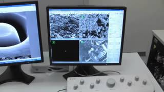 Microanalysis demonstration