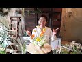 플라워레슨 171 양귀비 화병 꽃꽂이 flower lesson 171 poppy flowers vase arrangement ideas