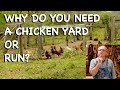 Why Do You Need a Chicken Yard or Run? - FHC Q & A