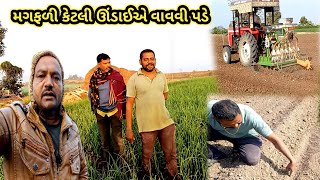 મગફળીને કેટલા ઇંચ ઊંડાઈ વાવવી પડે પડે | ઉનાળુ મગફળીનું વાવેતર | Jitesh Sakhreliya