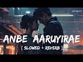 Anbe Aaruyirae (Slowed + Reverb) | Prashan Sean feat. NavinRaaj Mathavan | Lofi Beats